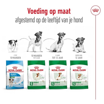 Royal Canin Mini Adult 2 kg