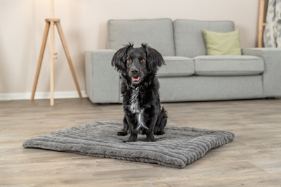 Trixie Ligmat Lonni Ribfluweel Grijs 50x35 cm