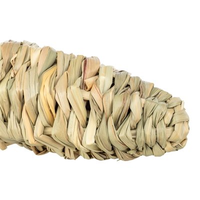Trixie Wortel Gras 20x6 cm