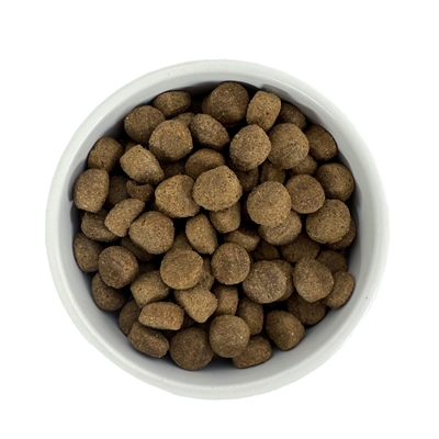 Budget Premium Lamb & Mobility 1 kg