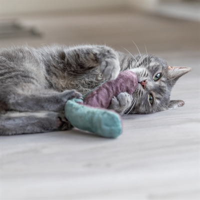 Trixie Speelkussen Rol Met Catnip Assorti 26x4 cm