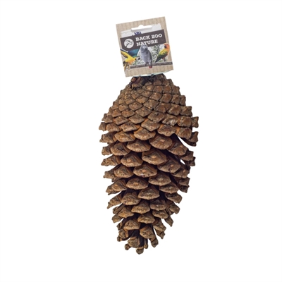 Back Zoo Nature Foraging Pine Cone 15-20 cm