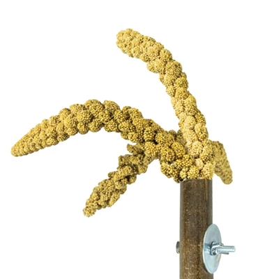 Back Zoo Nature Grass Keeper 20x3 cm