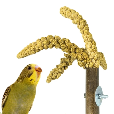 Back Zoo Nature Grass Keeper 20x3 cm