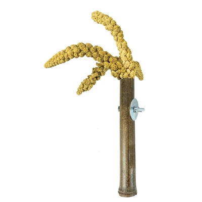 Back Zoo Nature Grass Keeper 20x3 cm
