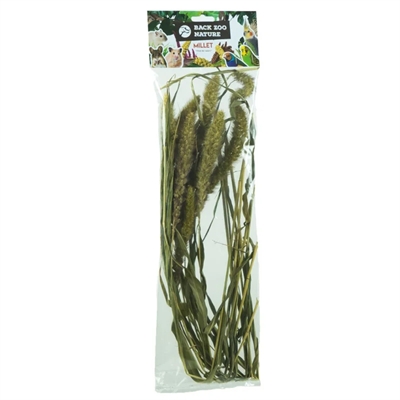 Back Zoo Nature Millet Setaria 30 gr