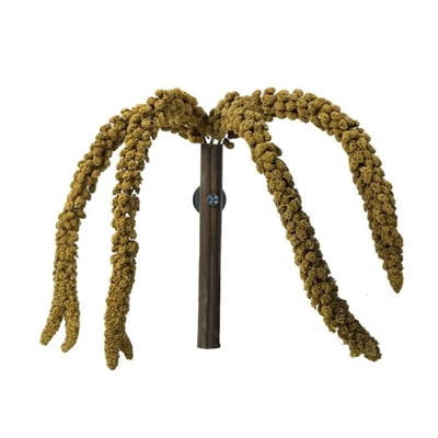Back Zoo Nature Franse Trosgierst Geel 150 gr