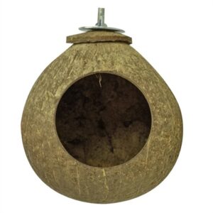 Back Zoo Nature Coconut House Ca. 9.5 cm