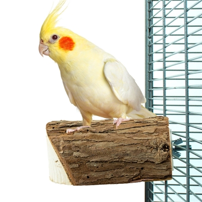 Back Zoo Nature Wood Slice Perch Ca. 10x7.5x3 cm