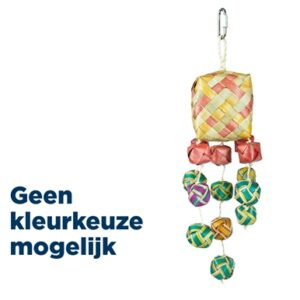 Back Zoo Nature Surprise Boxes Ca. 30x8x8 cm