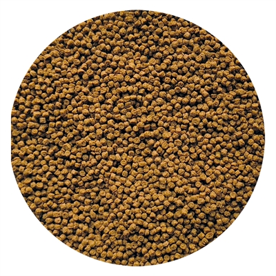 Utopia Goudviskorrel Drijvend 150 ml