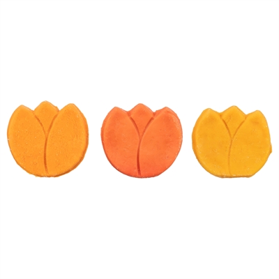 Trixie Tulp Met Kippenborst Assorti 25 gr