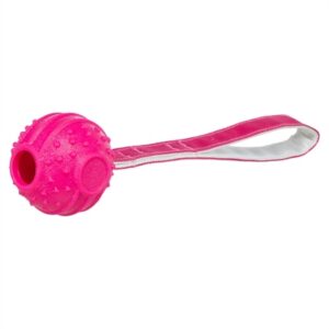 Trixie Werpbal Soft & Strong TPR Roze 27x6x6 cm