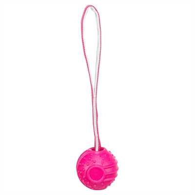 Trixie Werpbal Soft & Strong TPR Roze 27x6x6 cm