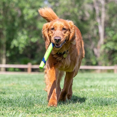 Chuckit Sniff Fetch Stick Pindakaasgeur 28x3x2.5 cm