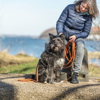 Trixie Sleeplijn Met Rubber Bekleed Zonder Handlus Oranje 5 Mtrx1.5 cm