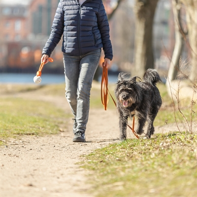 Trixie Sleeplijn Met Rubber Bekleed Zonder Handlus Oranje 5 Mtrx1.5 cm