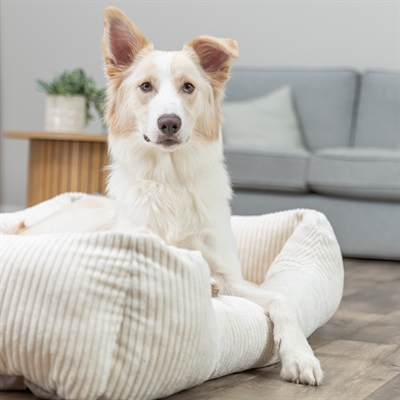 Trixie Vital Hondenmand Jonna Hoekig Ribfluweel Creme 60x50 cm