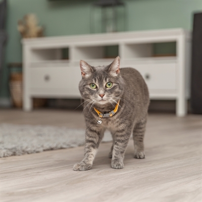 Trixie Kattenhalsband Geblokt Motief Assorti 20-30x1 cm