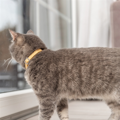 Trixie Kattenhalsband Geblokt Motief Assorti 20-30x1 cm
