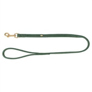 Trixie Hondenriem Pure Leer Saliegroen 120x1 cm