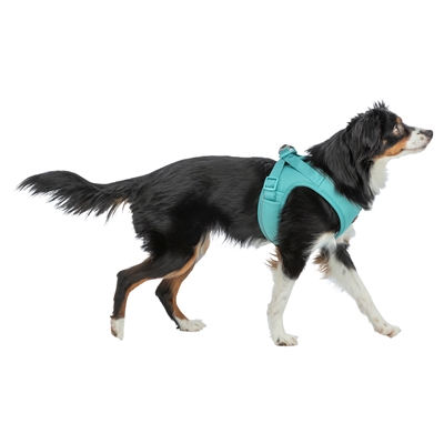 Trixie Hondentuig Urbanvest Mesh Aqua 31-34x1.5 cm - XXS