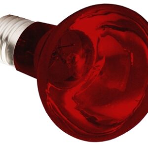 Komodo Infrarood Warmtelamp Es 100 Watt