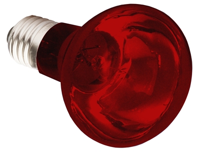 Komodo Infrarood Warmtelamp Es 100 Watt