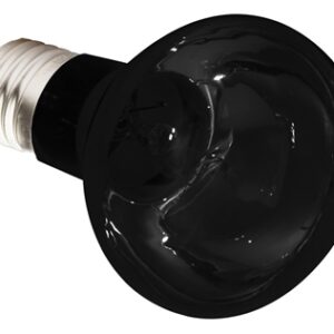 Komodo Nachtgloed Lamp Es 50 Watt