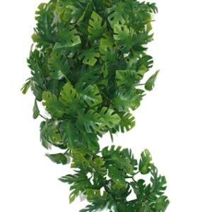 Komodo Plant Split Philodendron 30 cm