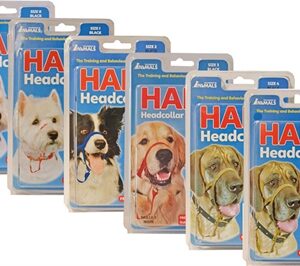 Company Of Animals Halti Headcollar Zwart Nr 2