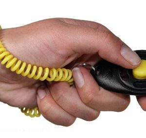 Starmark Clicker DE Luxe Voor Training 6x4 cm