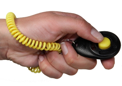 Starmark Clicker DE Luxe Voor Training 6x4 cm