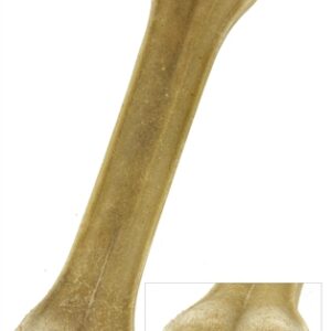 Petsnack Geperst Bot Gevuld Met Rund 8 Inch 20 cm 5 st